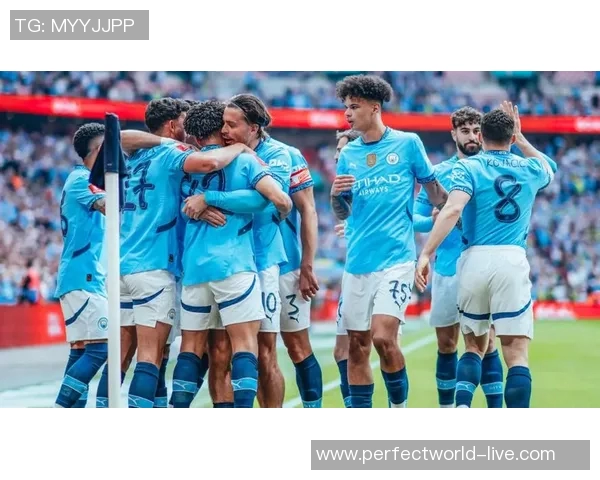 足总杯精彩对决曼城逆转里昂展现强大实力与团队配合