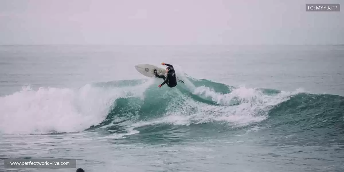 📱🎥 实时追踪,高清无死角!